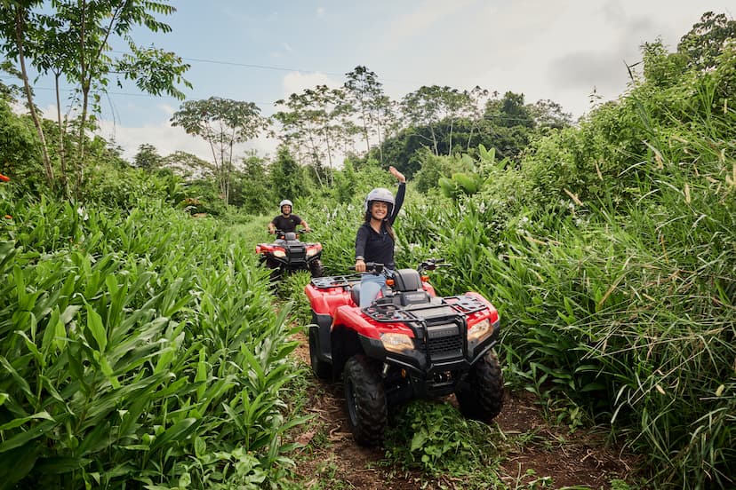 ATV en la naturaleza